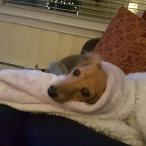 Meet your Posher, Staci